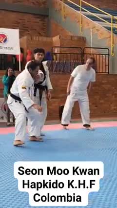 Hapkido