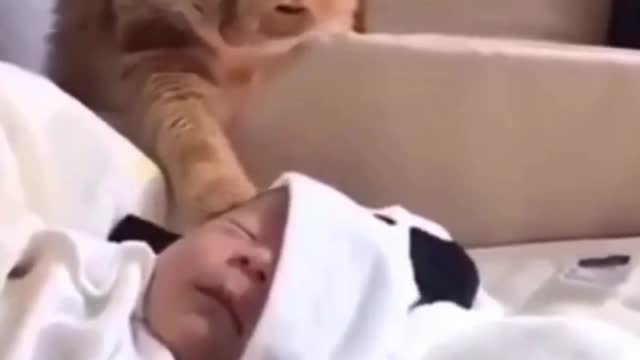 CAT MAKES BABY SLEEP - FUNNY CATS AND CUTE #SHORTS