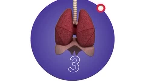 How strong are your lungs?