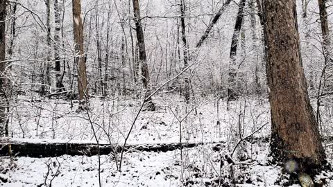 Day 2 of our Icy Adventure!