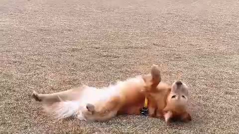 Be sure to shovel shit quietly and surprise everyone