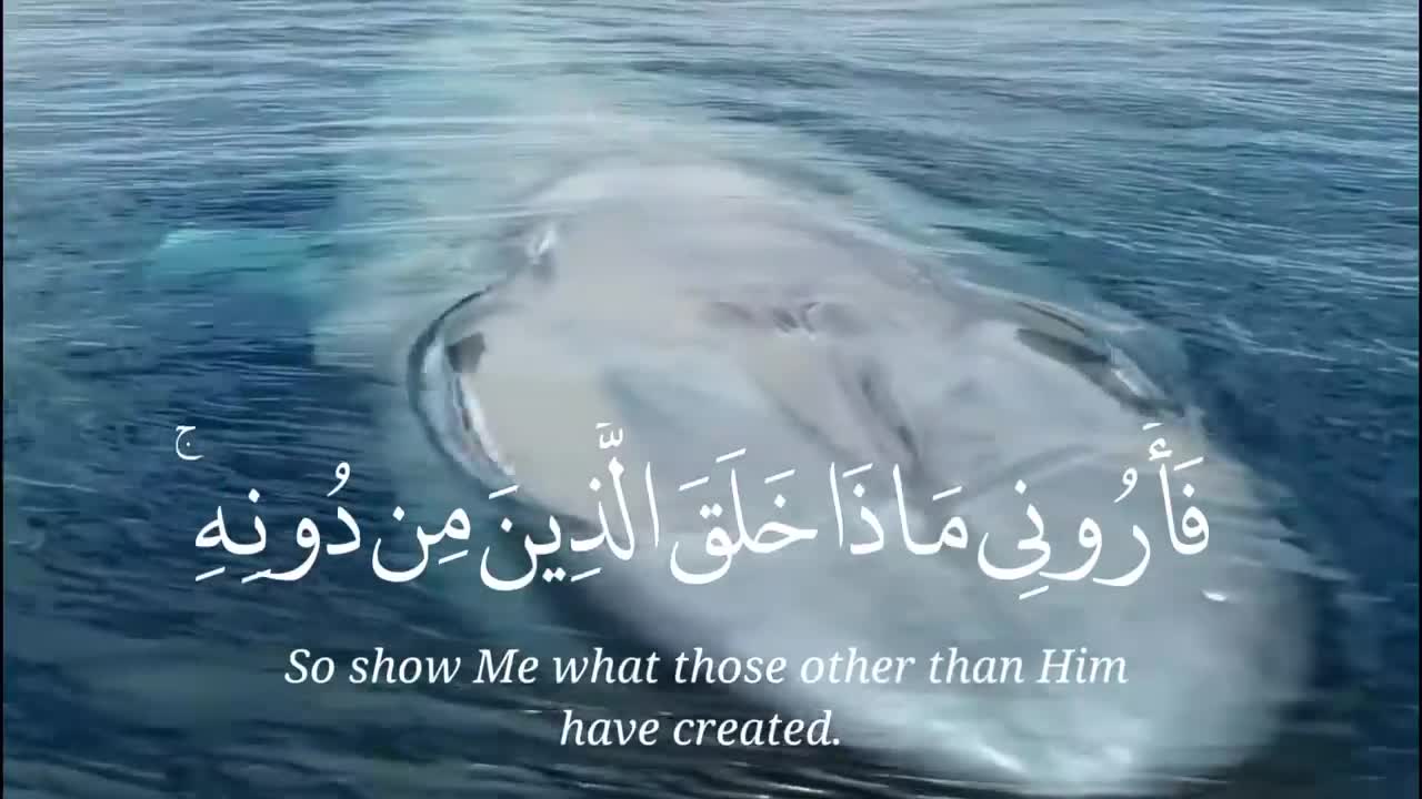 Blue Whale
