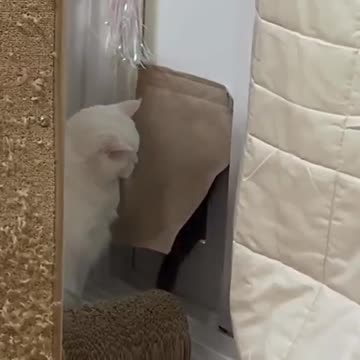 When the husband comes home in the morning:Когда муж приходит домой под утро