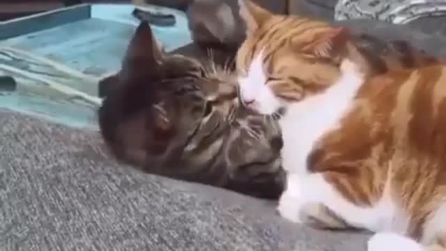 Try too sleep