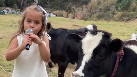 Little girl take interview a cow