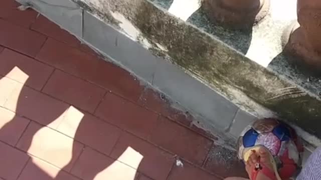 drink good ball