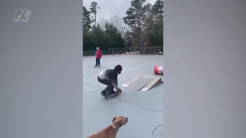 Funny video
