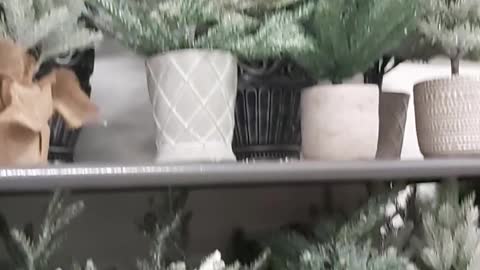 2101 10 17 Homesence Christmas tree