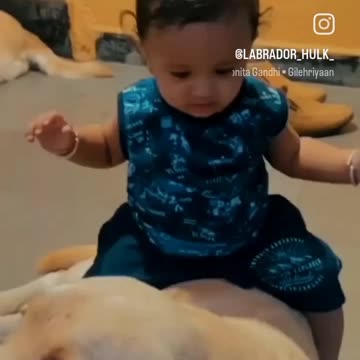Cute baby girl and cute puppy playing mood