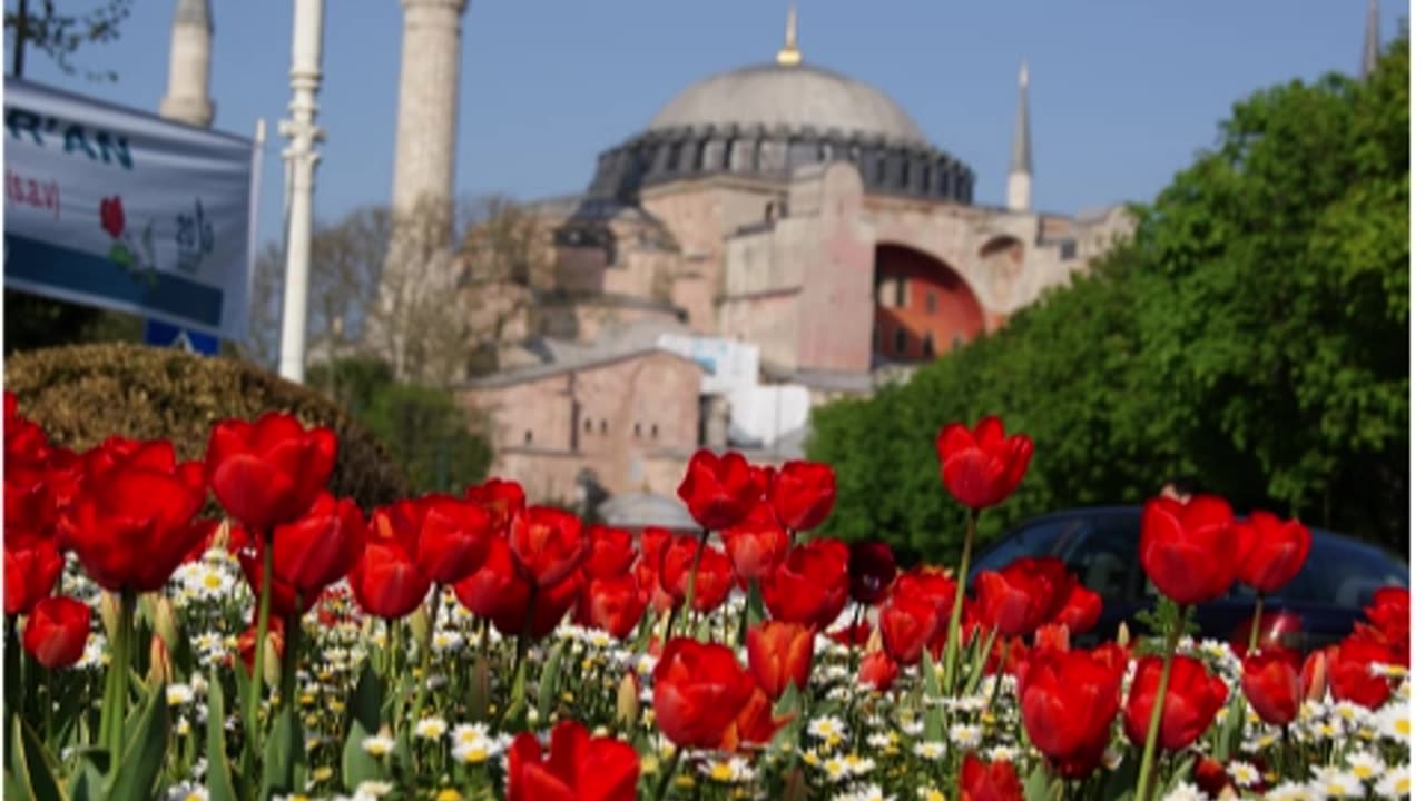 Suleiman the Magnificent: A Legacy of Power, Leadership, Diplomacy & Tulip Mania