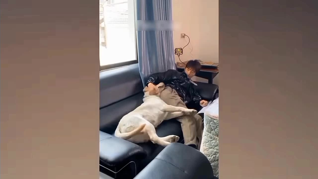 Fart prank on dog..his reaction said it allš¤£