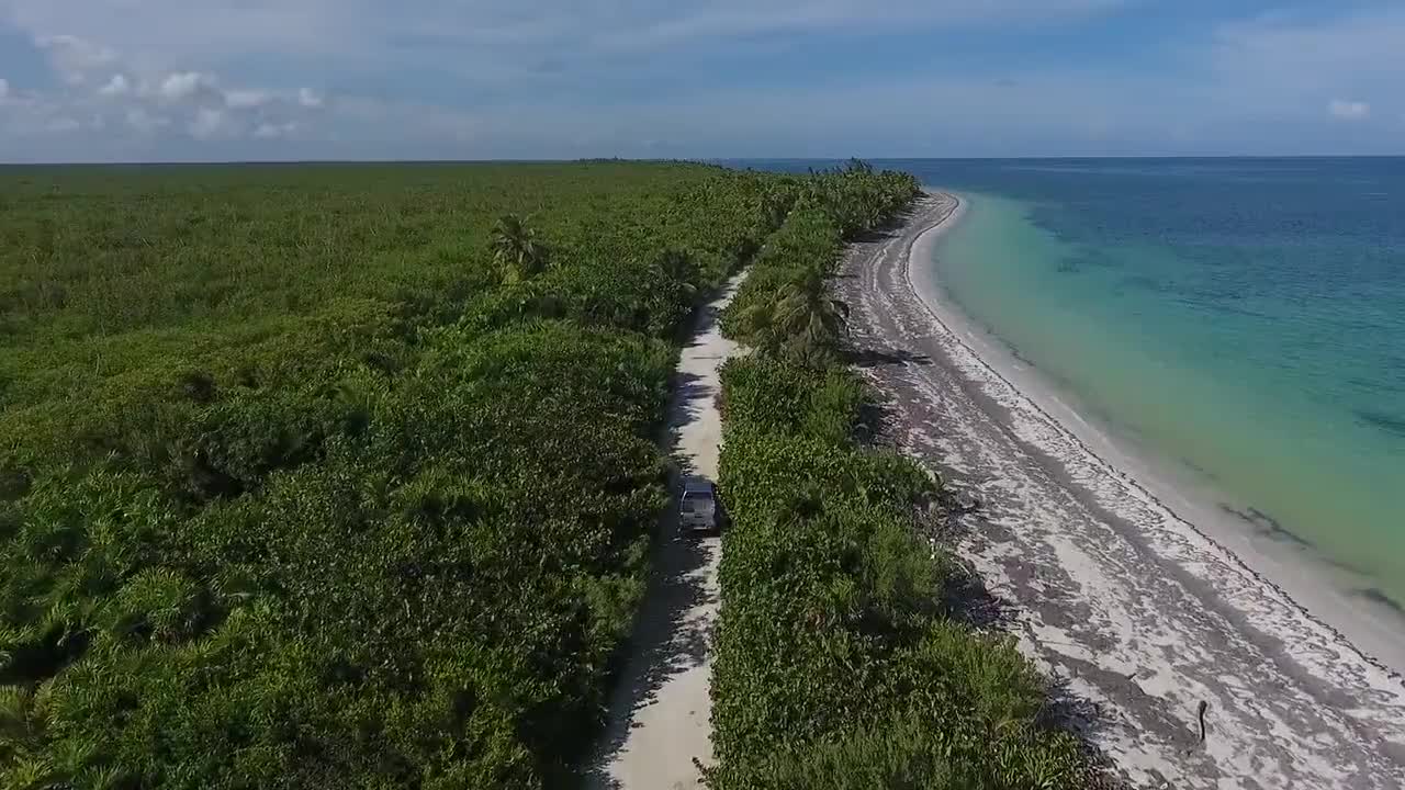 Hidden forest Island Drone Aerial View Free stock footage Free HD Videos