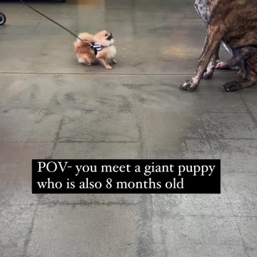 monday slow down u comin to fast sincerely lil ol sunday