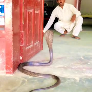 Samp ne raasta rok lya