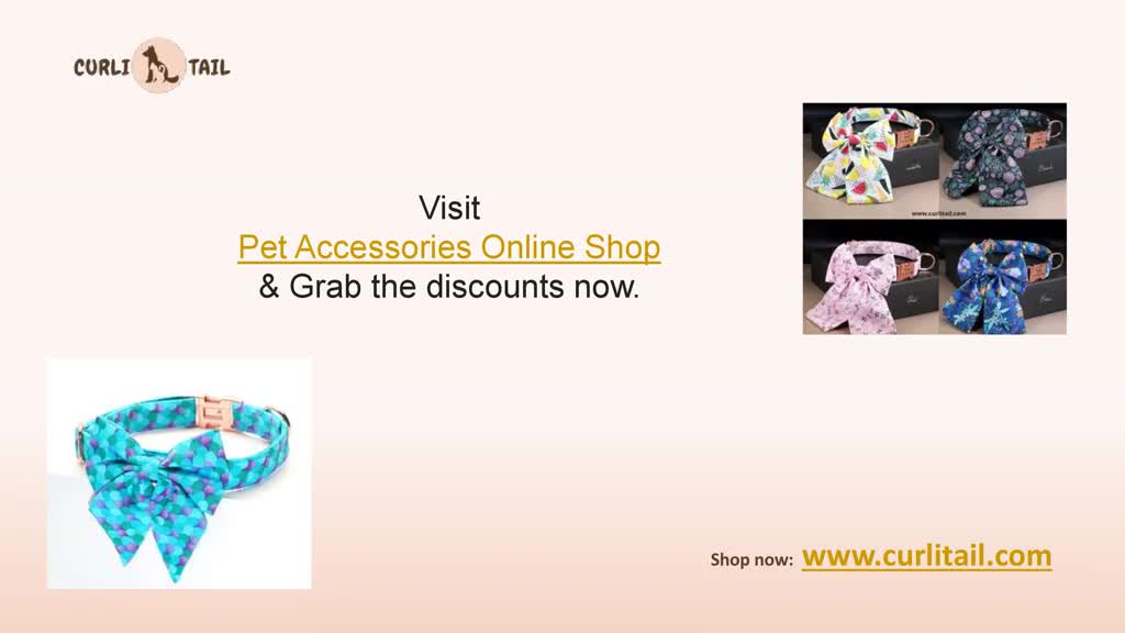 New Style Dog Collars | Online pet store | CurliTail