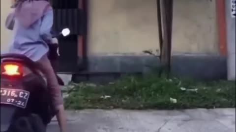 Funny video