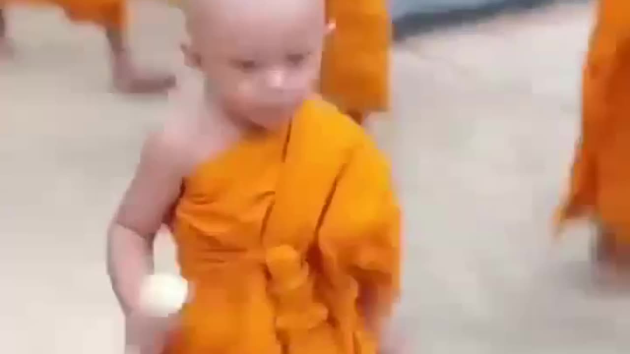 Watch How A Buddhist Novice Participate