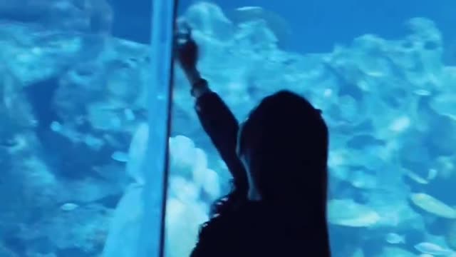 how often do you visit the aquariums?