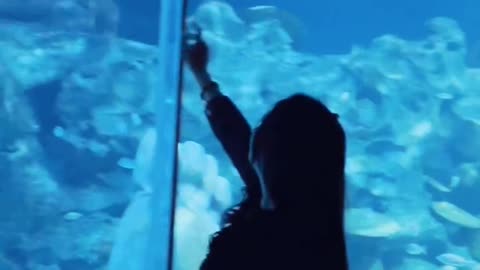 how often do you visit the aquariums?