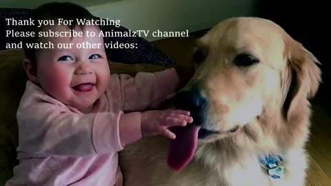 Funny babies laughing at dogs