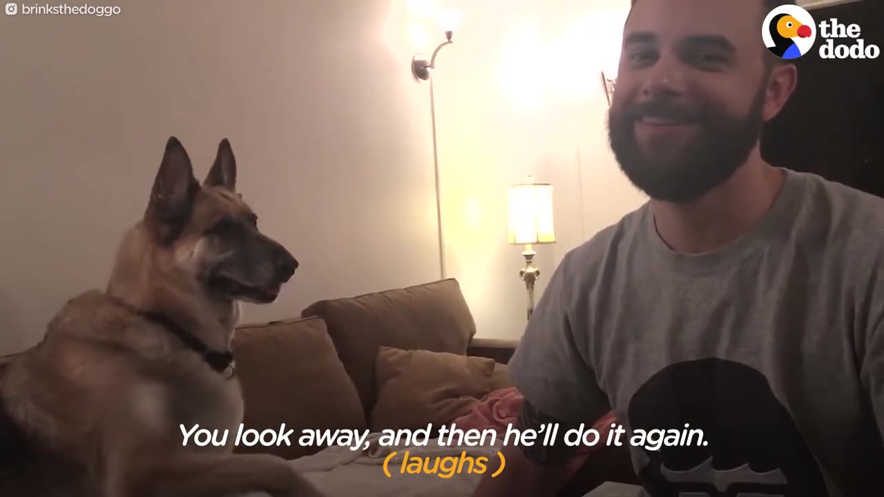 German Shepherd Refuses To Give Dad His Paw | The Dodo