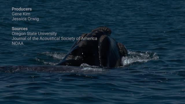 The mysterious sound in the Mariana Trench