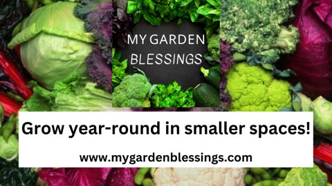 Indoor Garden Update- My Garden Blessings- From Seedling To Tower