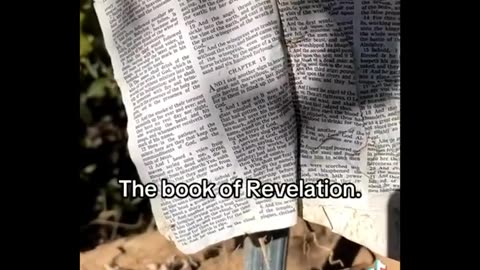 Bible Found Stuck on Post in N. Carolina After Hurricane Helene Was Opened Up to Prophetic Chapters