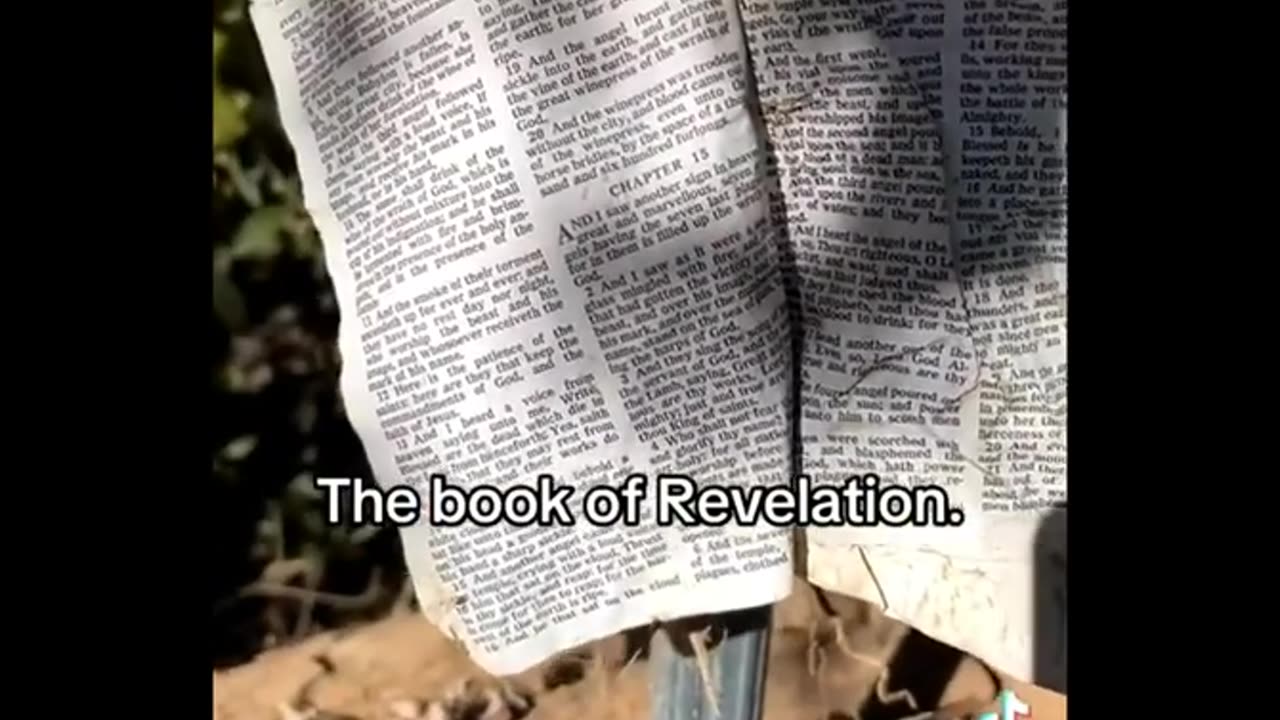 Bible Found Stuck on Post in N. Carolina After Hurricane Helene Was Opened Up to Prophetic Chapters