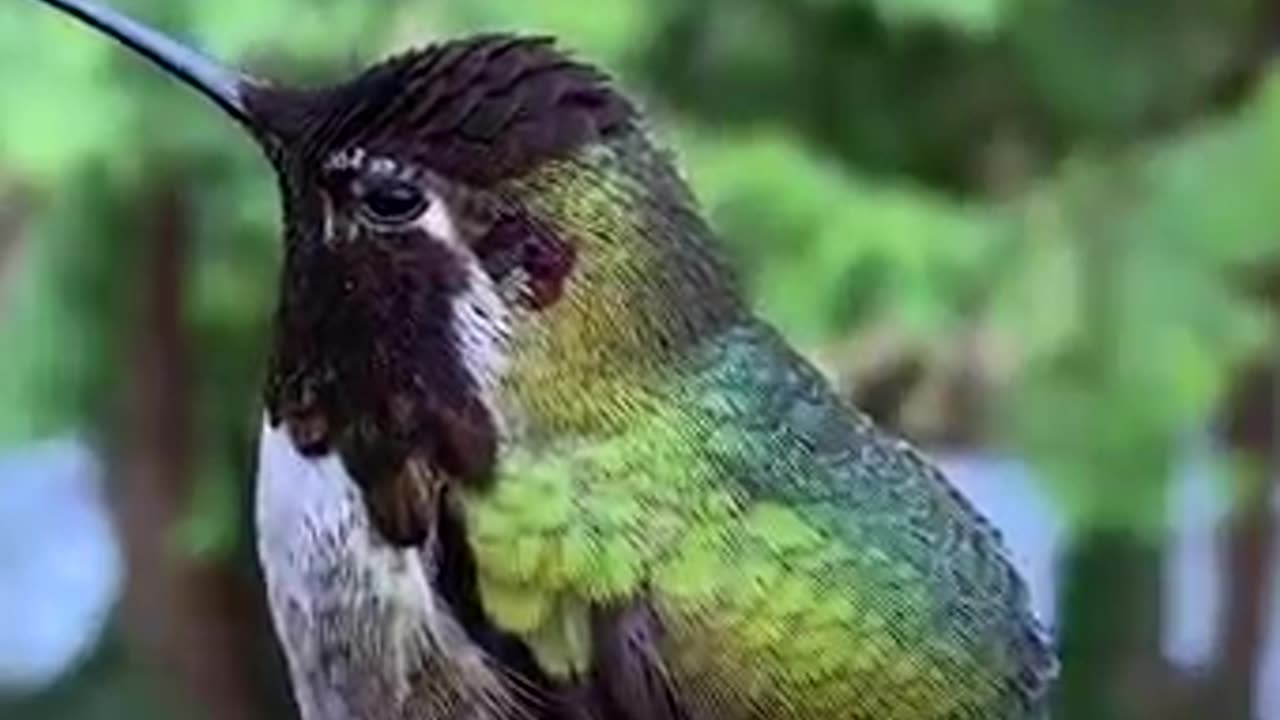 Nature is so beautiful