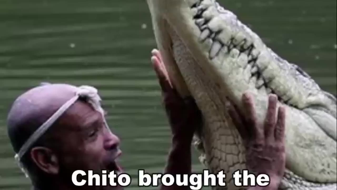 Man Who Swim With Crocodile