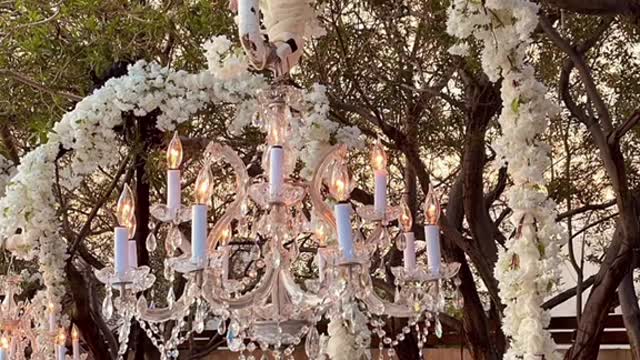 This wedding cost $10 million
