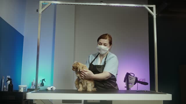 The way to calm the cat.