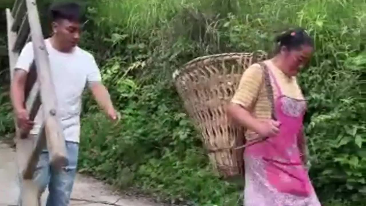 funny videos..