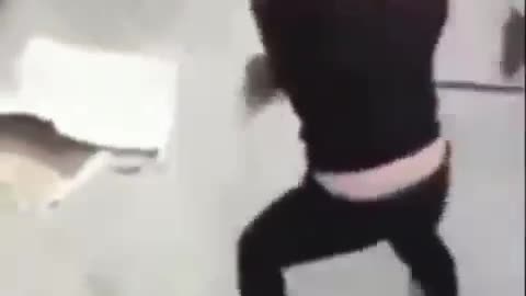 Funny animal video #funny#shorts#funny#dog