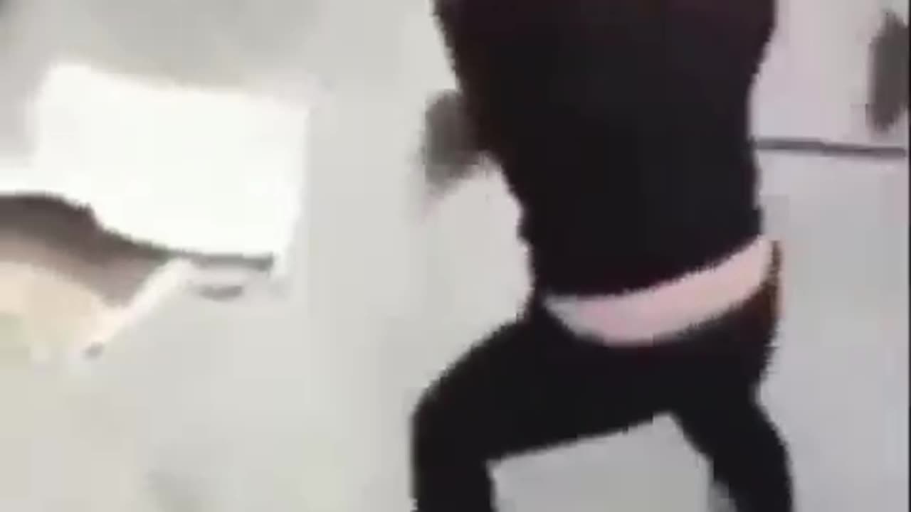 Funny animal video #funny#shorts#funny#dog