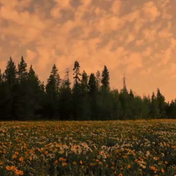 019 In numerology, Life Path 12 slash 3 is where creativity meets communication, a powerful blend