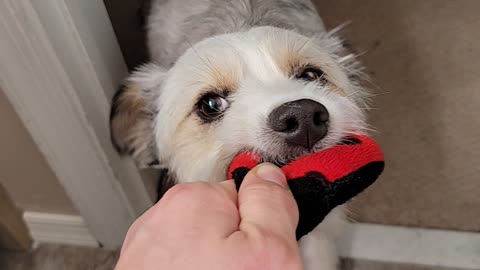 Tug Of War