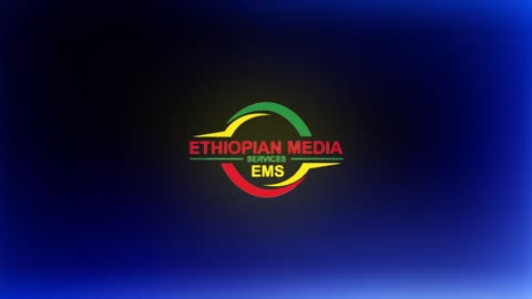 Ethiopian midea service EMS