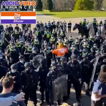 The UN Needs To Investigate These Human Rights VioIations 🟠⚪🟣The NPC Show