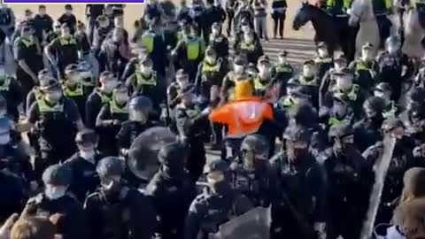 The UN Needs To Investigate These Human Rights VioIations 🟠⚪🟣The NPC Show
