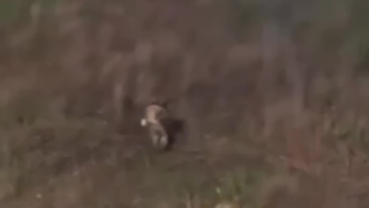 Russian soldier shoots a hostile drone with his weapon and runs away