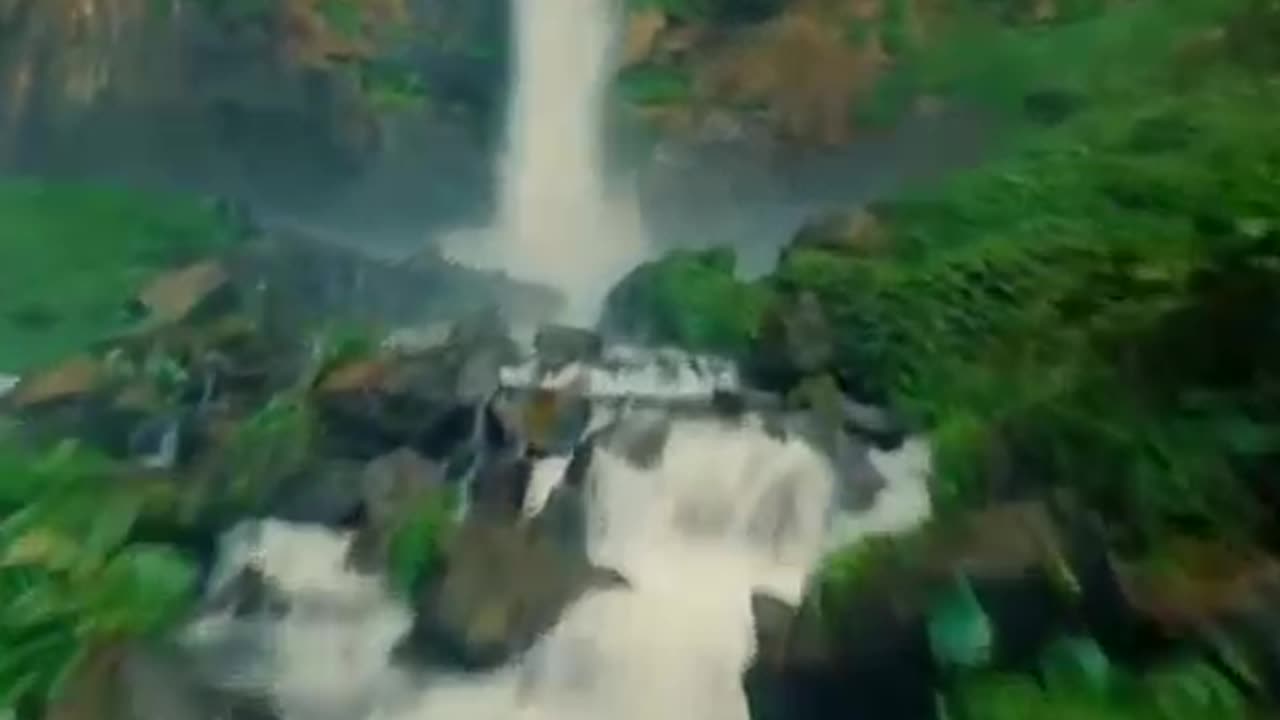 Amazing Scene of Wild