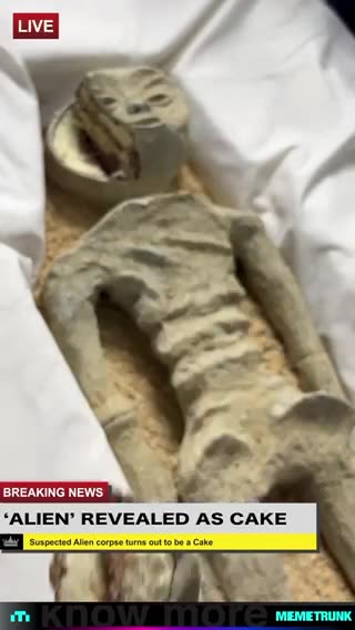 It’s was just cake 🤣