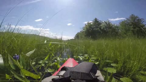 Kayaking Adventure