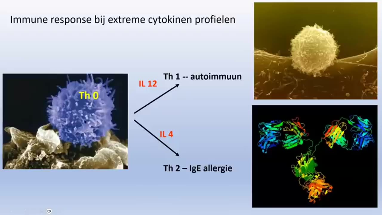 Pierre Capel - Immunologie een opfrisser