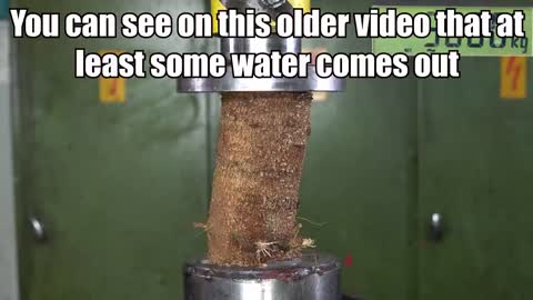 Can You Dry Firewood With Hydraulic Press_