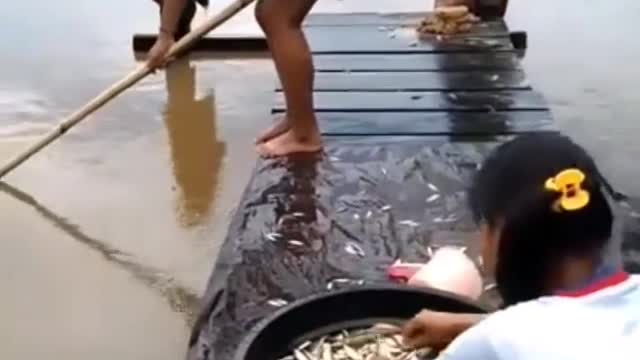 Fishing to get unique and expensive fish species