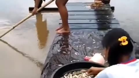 Fishing to get unique and expensive fish species