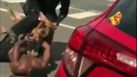 POLICE LET K9 ATTACK MAN!